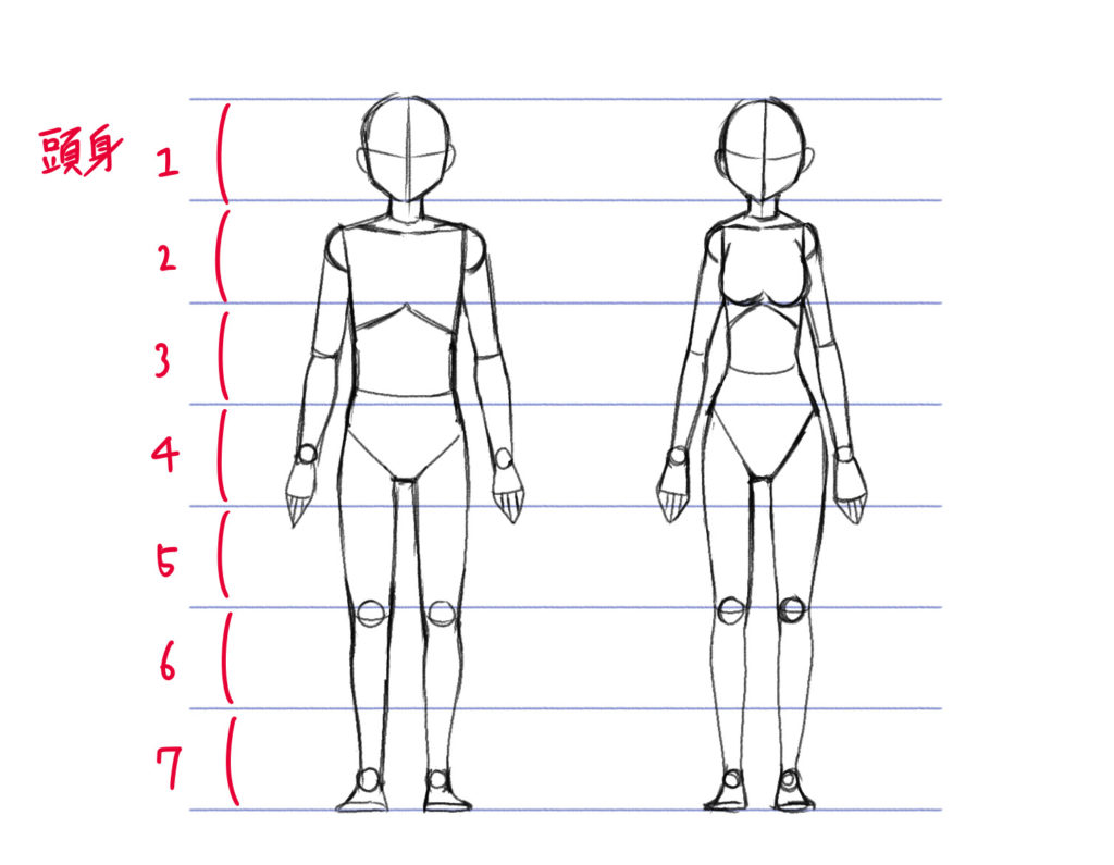 初心者向け 全身の描き方 頭身と比率を知ろう あんりみてっどりーむ