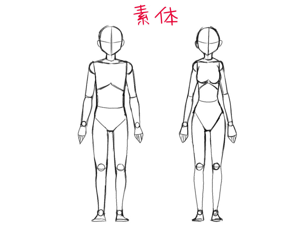 イラスト初心者向け キャラクターの全身の描き方 頭身と比率を取ろう あんりみてっどりーむ