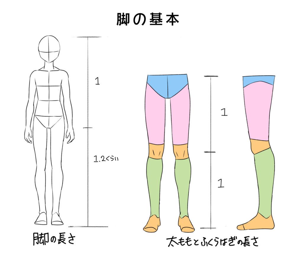 キャラクターポーズ 脚を描くときの基本的な知識 あんりみてっどりーむ