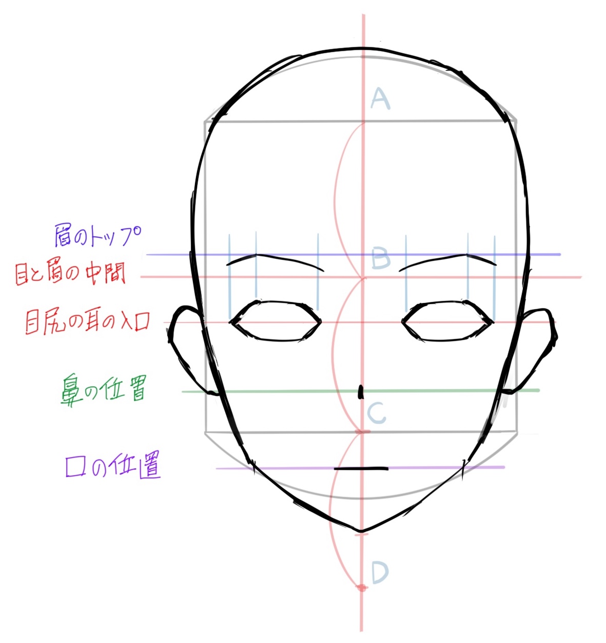 キャライラストの正面顔と横顔の描き方 コツはアタリをとること あんりみてっどりーむ